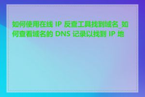 如何使用在线 IP 反查工具找到域名_如何查看域名的 DNS 记录以找到 IP 地址