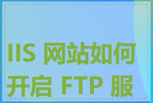 IIS 网站如何开启 FTP 服务