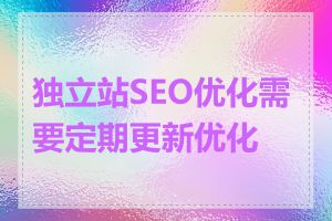 独立站SEO优化需要定期更新优化吗