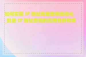 如何实现 IP 地址批量查询自动化_批量 IP 地址查询的应用场景有哪些