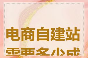 电商自建站需要多少成本