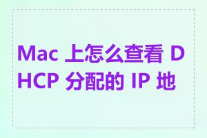 Mac 上怎么查看 DHCP 分配的 IP 地址