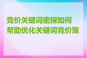 竞价关键词密探如何帮助优化关键词竞价策略