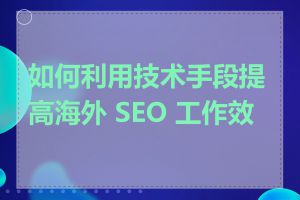 如何利用技术手段提高海外 SEO 工作效率