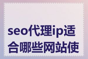 seo代理ip适合哪些网站使用