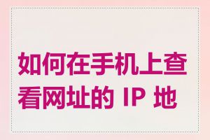 如何在手机上查看网址的 IP 地址