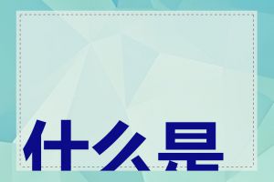 什么是 SEO 快排