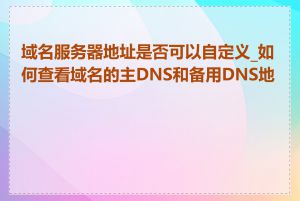 域名服务器地址是否可以自定义_如何查看域名的主DNS和备用DNS地址