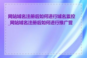 网站域名注册后如何进行域名监控_网站域名注册后如何进行推广营销
