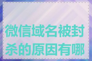 微信域名被封杀的原因有哪些