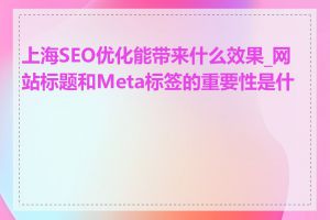上海SEO优化能带来什么效果_网站标题和Meta标签的重要性是什么