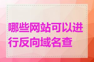 哪些网站可以进行反向域名查询