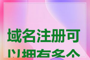 域名注册可以拥有多个吗