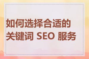 如何选择合适的关键词 SEO 服务商