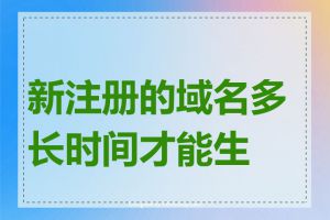 新注册的域名多长时间才能生效