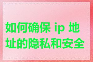 如何确保 ip 地址的隐私和安全性