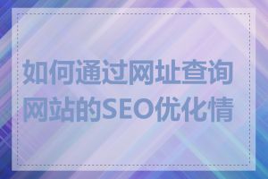 如何通过网址查询网站的SEO优化情况