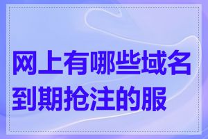 网上有哪些域名到期抢注的服务