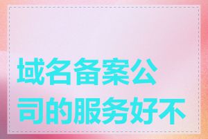 域名备案公司的服务好不好