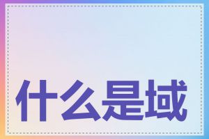 什么是域名综合查询