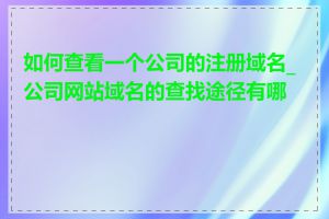 如何查看一个公司的注册域名_公司网站域名的查找途径有哪些