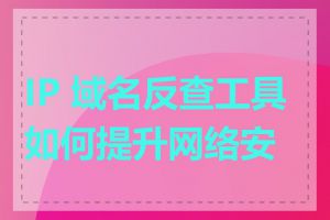 IP 域名反查工具如何提升网络安全