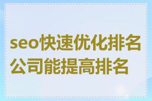 seo快速优化排名公司能提高排名吗