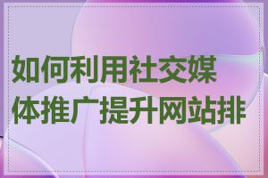 如何利用社交媒体推广提升网站排名
