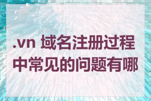 .vn 域名注册过程中常见的问题有哪些