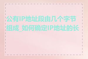公有IP地址段由几个字节组成_如何确定IP地址的长度
