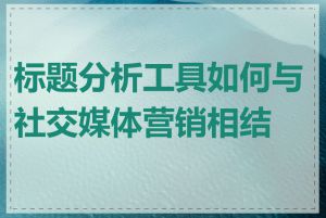 标题分析工具如何与社交媒体营销相结合