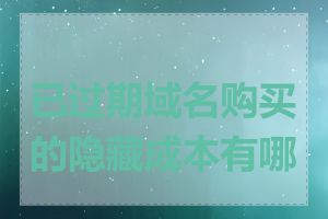 已过期域名购买的隐藏成本有哪些