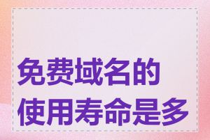 免费域名的使用寿命是多久