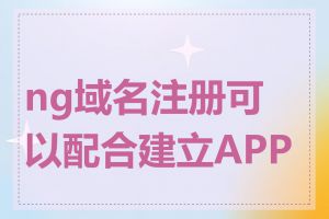 ng域名注册可以配合建立APP吗