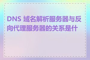 DNS 域名解析服务器与反向代理服务器的关系是什么
