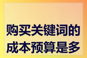 购买关键词的成本预算是多少