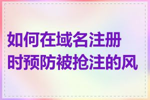 如何在域名注册时预防被抢注的风险