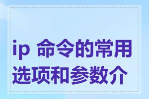 ip 命令的常用选项和参数介绍