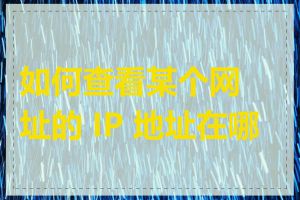 如何查看某个网址的 IP 地址在哪里