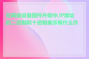 在网络设备固件升级中,IP地址的二进制和十进制表示有什么作用