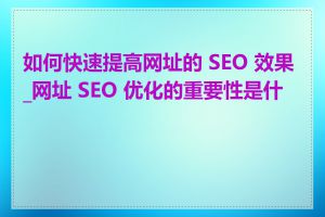 如何快速提高网址的 SEO 效果_网址 SEO 优化的重要性是什么