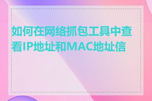 如何在网络抓包工具中查看IP地址和MAC地址信息