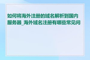 如何将海外注册的域名解析到国内服务器_海外域名注册有哪些常见问题