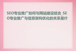 SEO专业推广如何与网站建设结合_SEO专业推广与信息架构优化的关系是什么