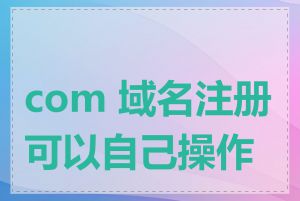 com 域名注册可以自己操作吗