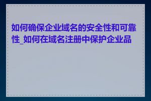 如何确保企业域名的安全性和可靠性_如何在域名注册中保护企业品牌
