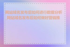 网站域名发布后如何进行数据分析_网站域名发布后如何做好营销推广