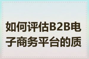 如何评估B2B电子商务平台的质量