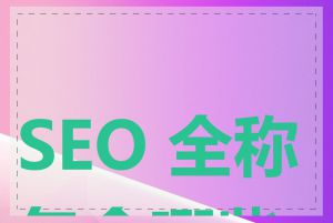 SEO 全称包含哪些词