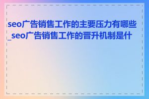 seo广告销售工作的主要压力有哪些_seo广告销售工作的晋升机制是什么